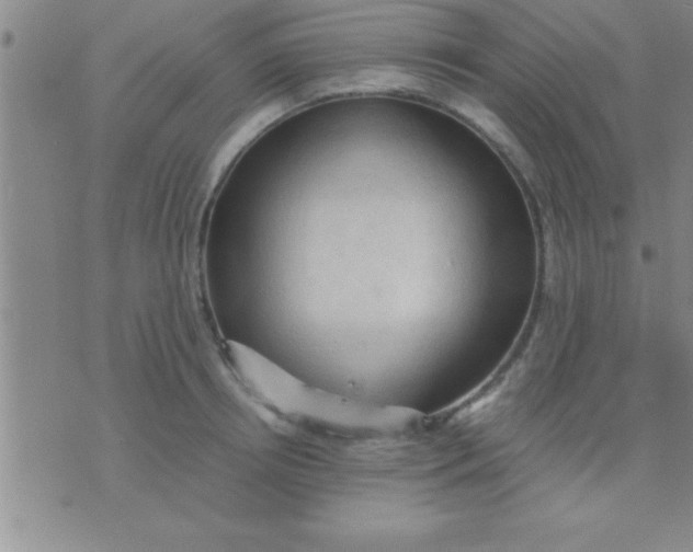 X0000075820850200610061755