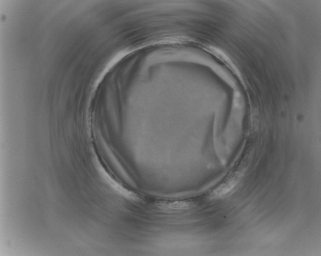 X0000075820851200610061755