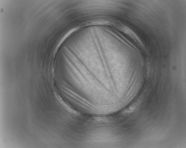 X0000075820852200610061755