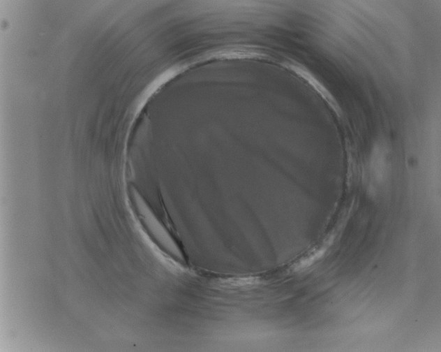 X0000075820853200610061755