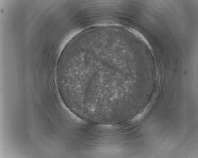 X0000075820855200610061755