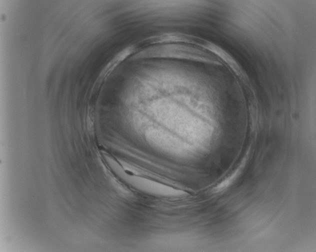 X0000075820857200610061755