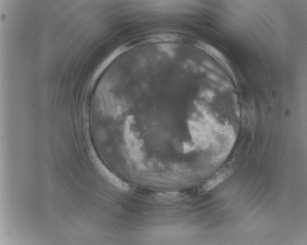 X0000075820859200610061755