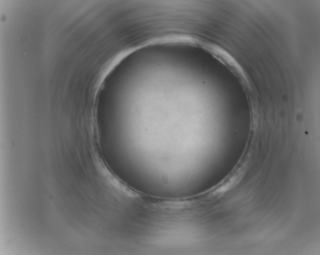 X0000075820860200610061755