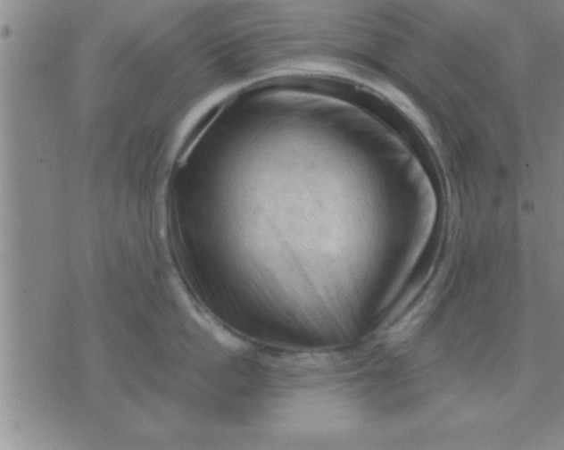 X0000075820862200610061755