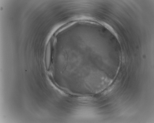 X0000075820863200610061755