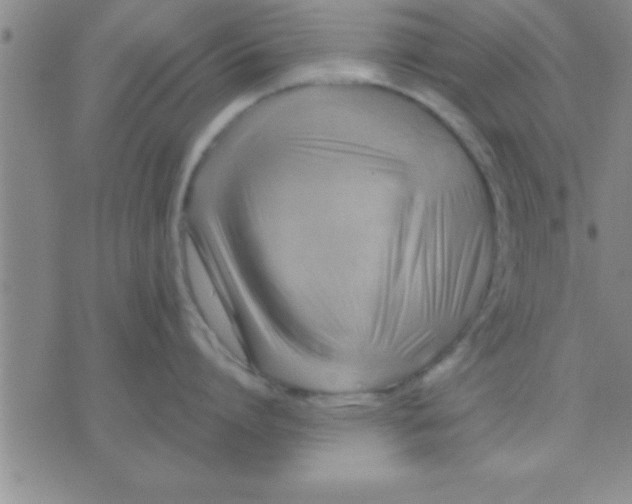 X0000075820864200610061755