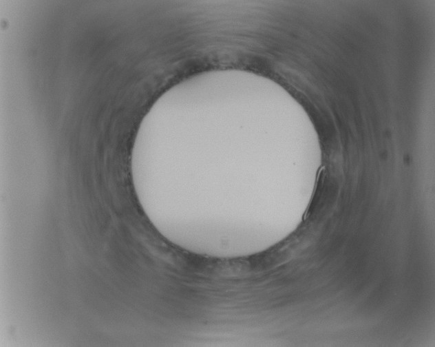 X0000075820865200610061754