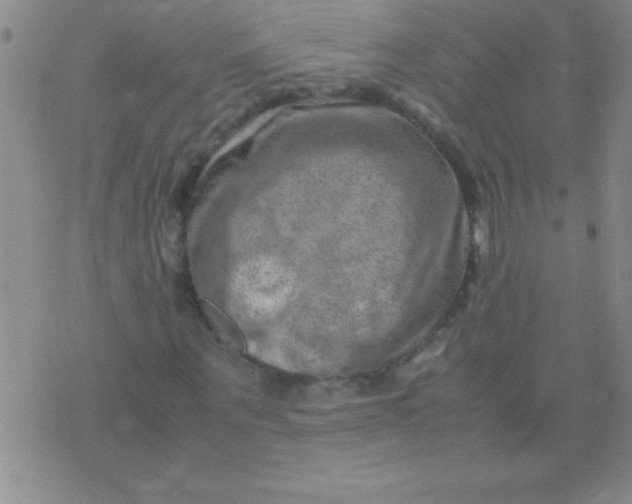 X0000075820867200610061754