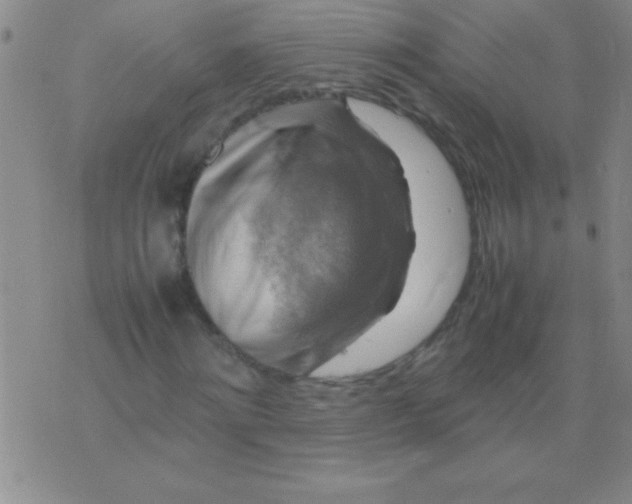 X0000075820868200610061754