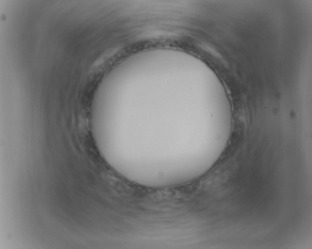 X0000075820869200610061754