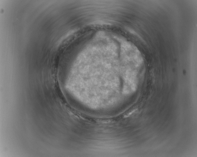 X0000075820870200610061754