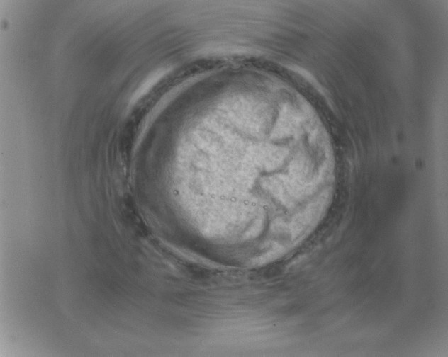 X0000075820871200610061754