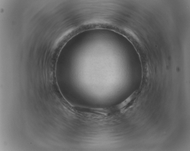 X0000075820872200610061754