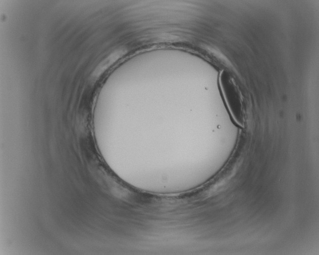 X0000075820873200610061754