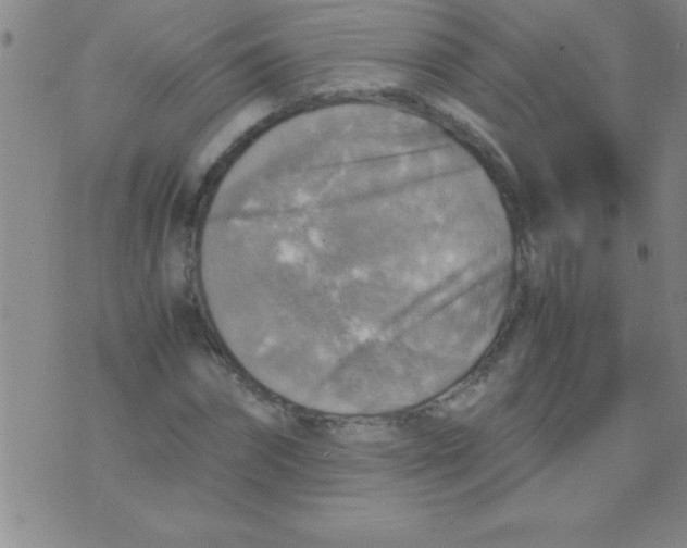 X0000075820874200610061754