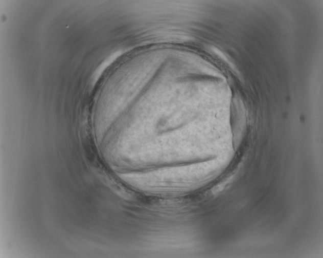 X0000075820875200610061754