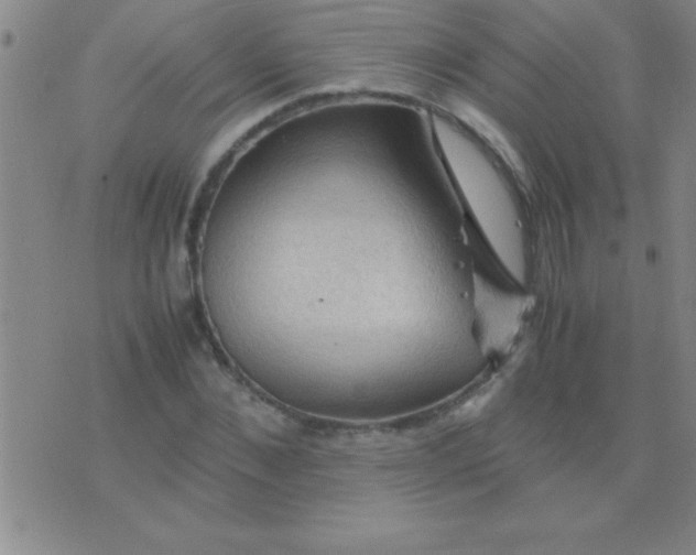 X0000075820876200610061754