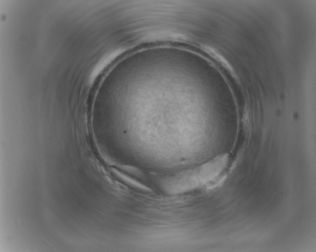 X0000075820877200610061754