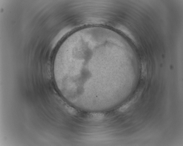 X0000075820878200610061754