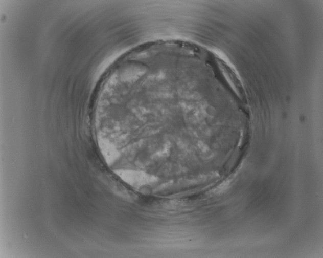 X0000075820879200610061754