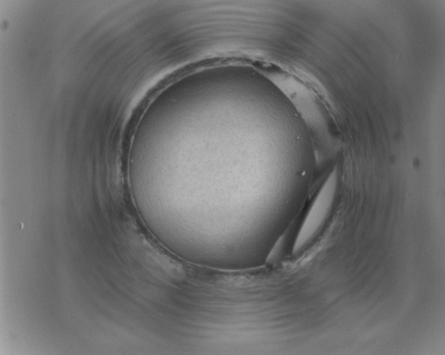 X0000075820880200610061754