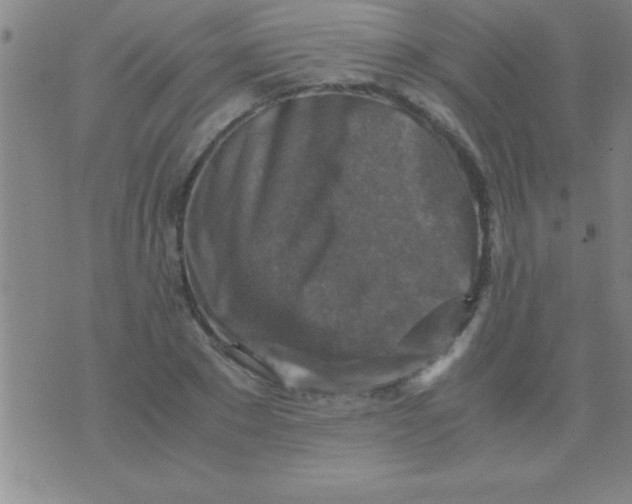 X0000075820881200610061754