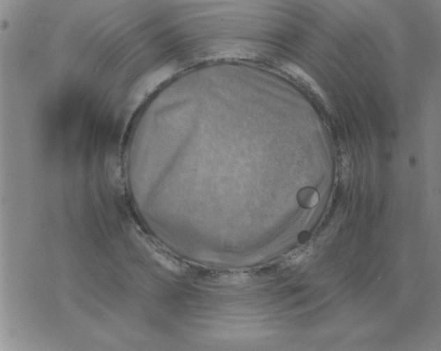 X0000075820882200610061754