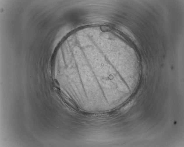 X0000075820883200610061754