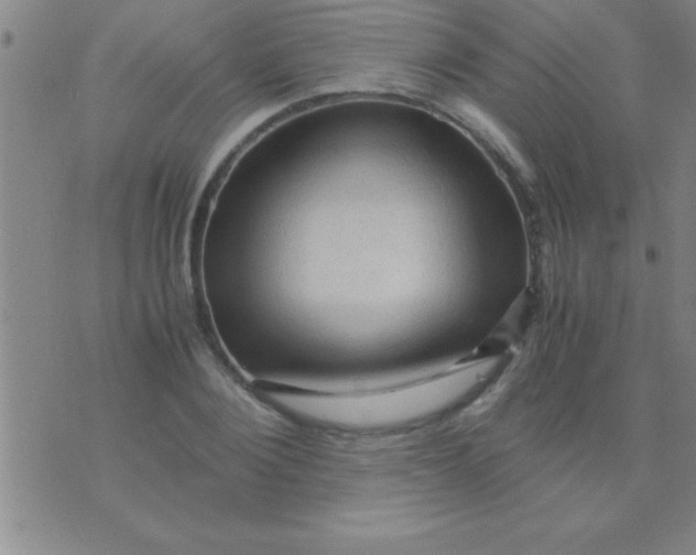 X0000075820884200610061754