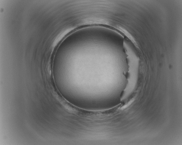 X0000075820885200610061754