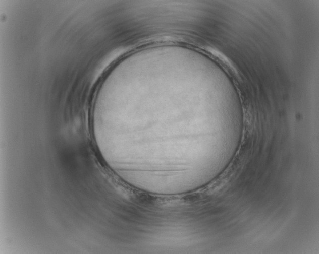 X0000075820886200610061754