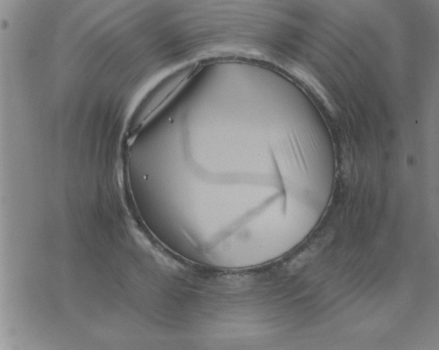 X0000075820888200610061754