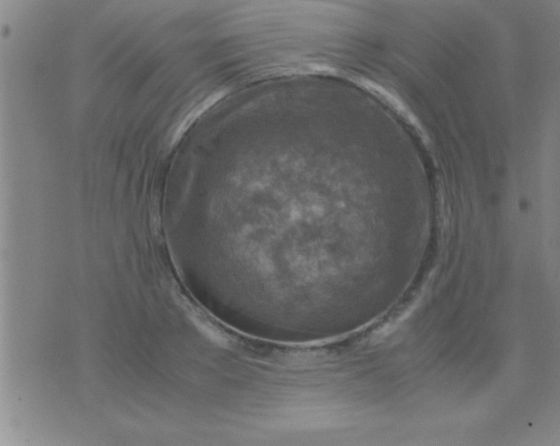 X0000075820889200610061754