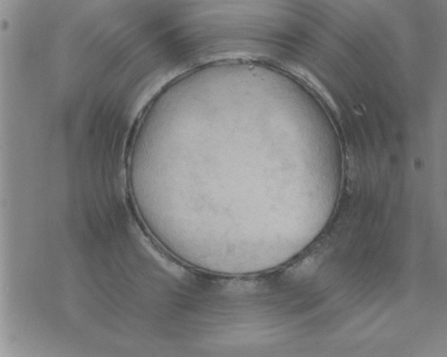 X0000075820890200610061754