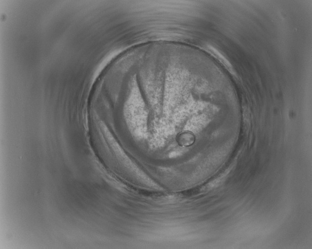 X0000075820891200610061754