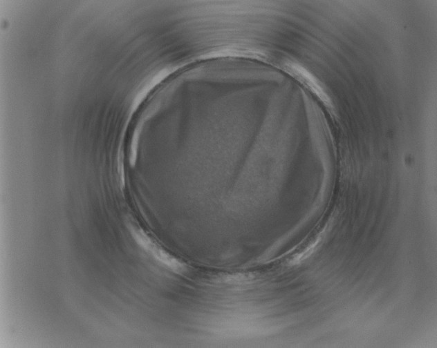 X0000075820892200610061754