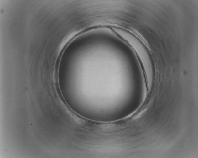 X0000075820893200610061754