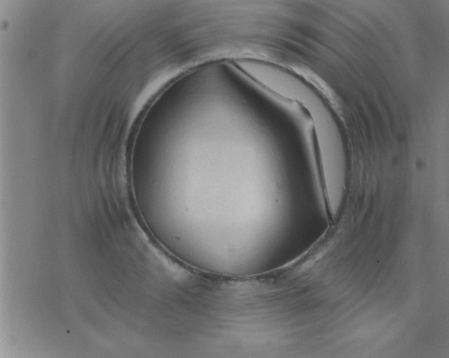 X0000075820894200610061754