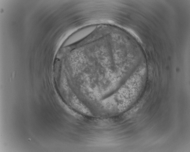 X0000075820895200610061754