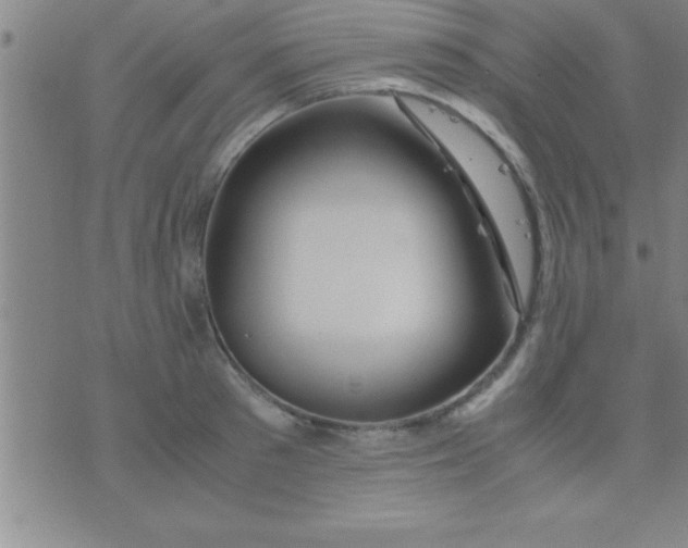 X0000075820897200610061754