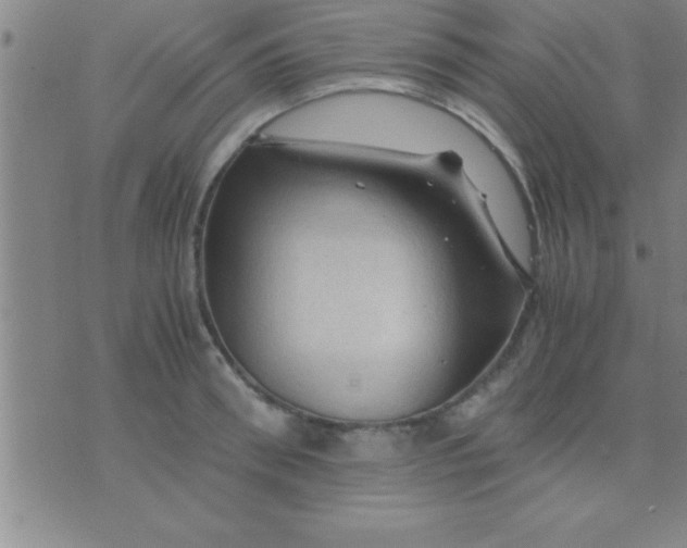 X0000075820898200610061754