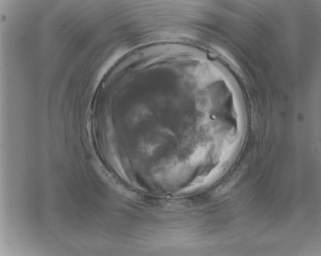 X0000075820899200610061754