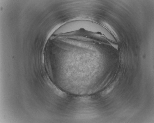 X0000075820900200610061754