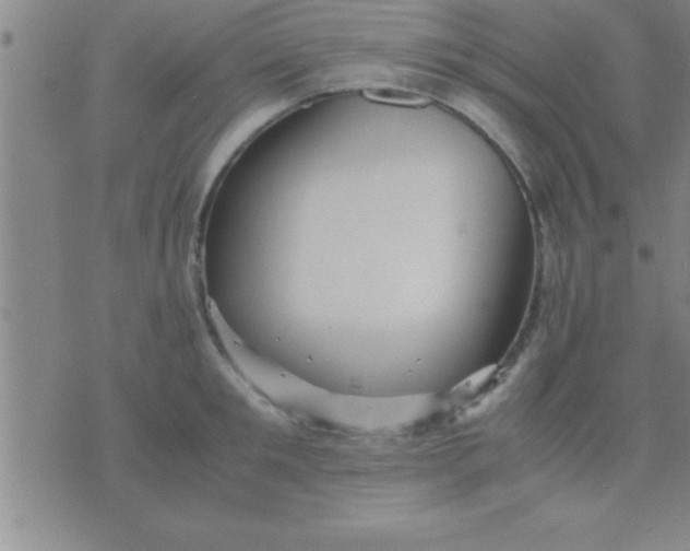 X0000075820901200610061754