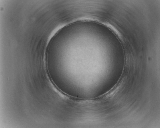 X0000075820902200610061754