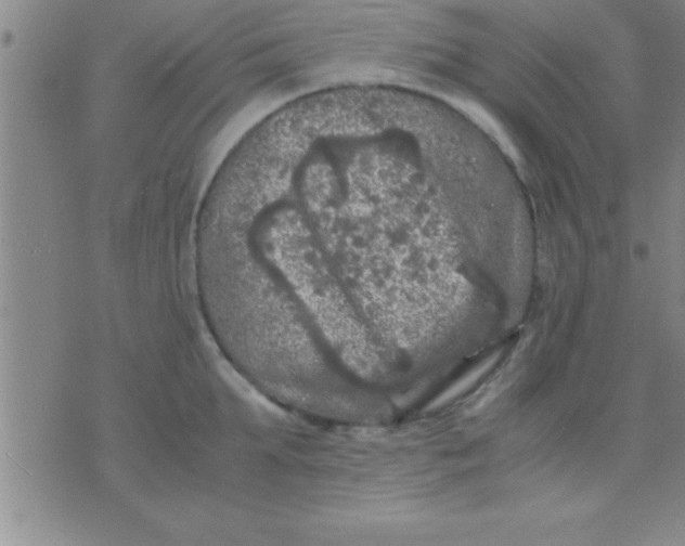 X0000075820903200610061754