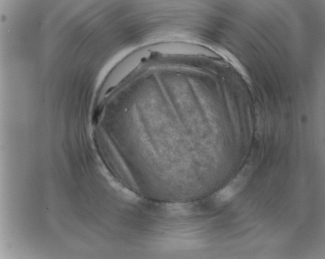 X0000075820904200610061754