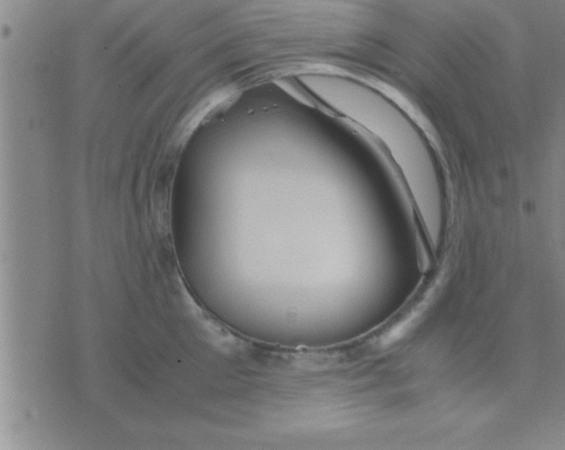 X0000075820905200610061754