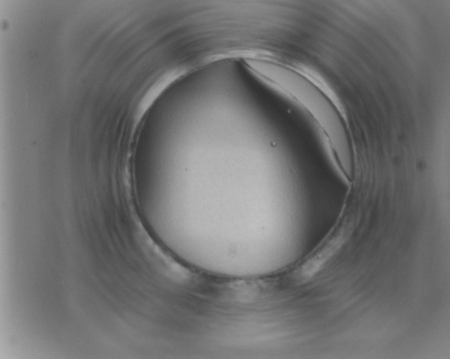 X0000075820906200610061754